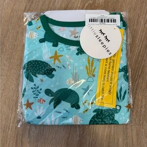 Little Sleepies See turtle friends
